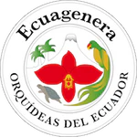 Ecuagenera Orquídeas del Ecuador